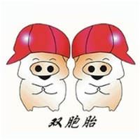 双胞胎